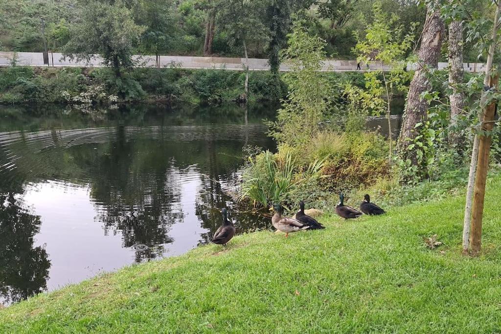 Nature E Spa Al - Termas Saude E Beleza, Totalmente Renovado - Piscinas Municipais Em Frente - Epoca Julho A Setembro Sao Pedro do Sul Bagian luar foto