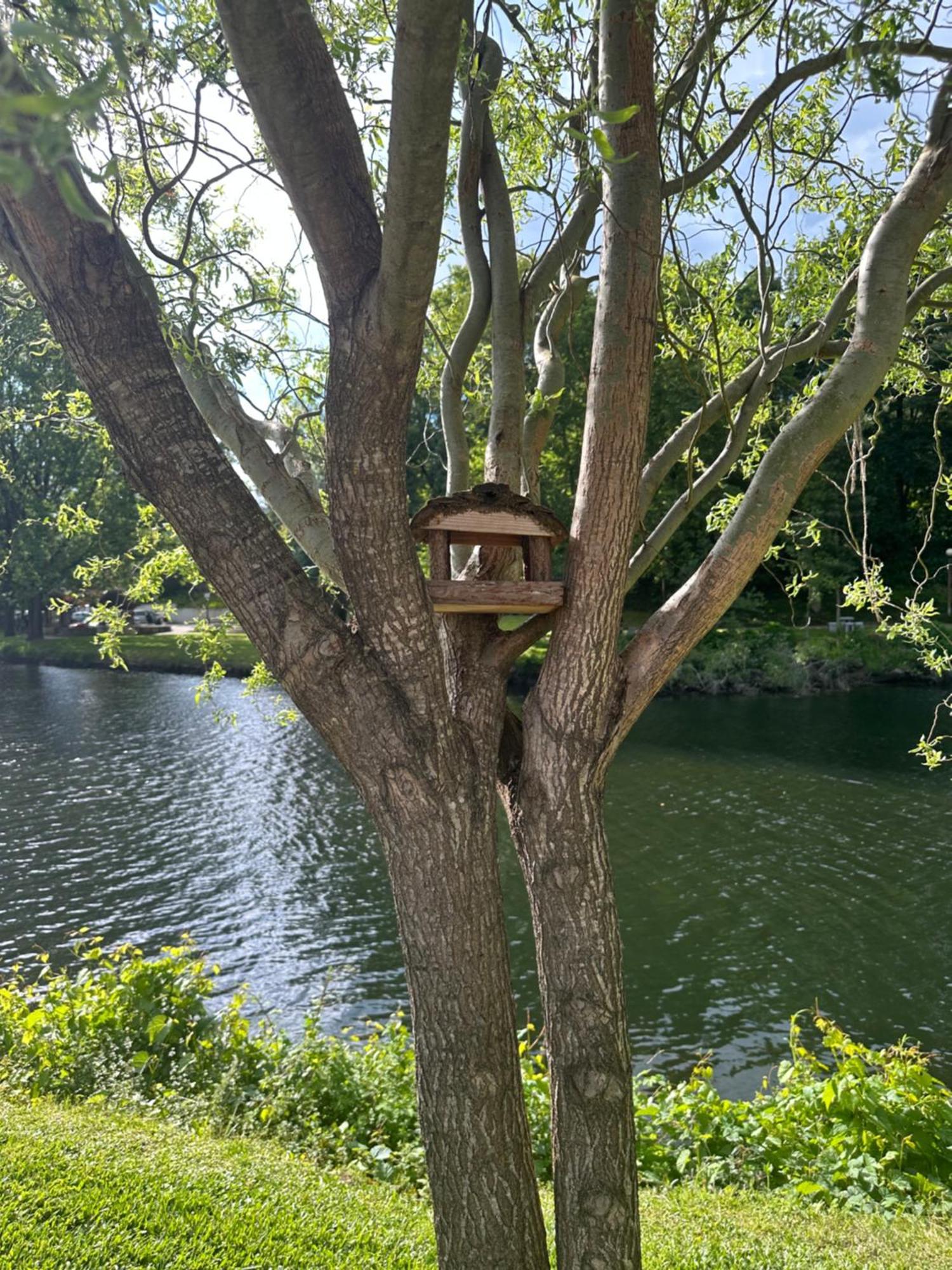 Nature E Spa Al - Termas Saude E Beleza, Totalmente Renovado - Piscinas Municipais Em Frente - Epoca Julho A Setembro Sao Pedro do Sul Bagian luar foto